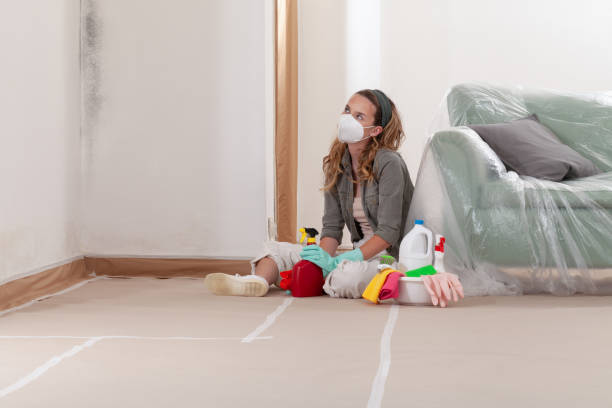 Reliable Mold Remediation contractor in Runnemede, NJ by Cheap Mold Removal